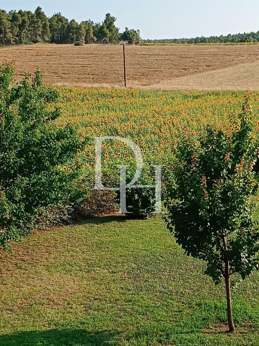 Дом / Коттедж, Греция, Халкидики, Кассандра, 240 000 € фото 9