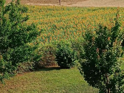 Дом / Коттедж, Греция, Халкидики, Кассандра, 240 000 € фото 9