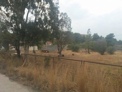 Земля, Греция, Пелопоннес, Лутраки, 10 000 € фото 3