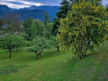 House, Slovenia, Gorenska, Bled, 2 200 000 € photo 6