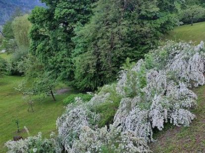 House, Slovenia, Gorenska, Bled, 2 200 000 € photo 8