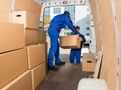 Professional transportation and relocation services (ID:10752)