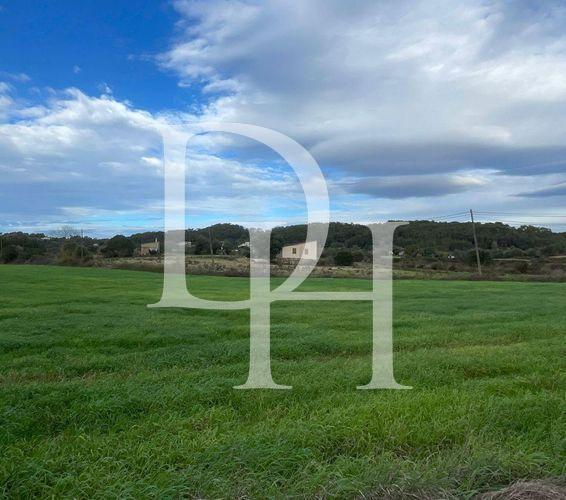 Parcel, Spain, Balearic Islands, Majorca, 230 000 € photo 1