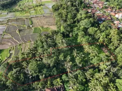Land in Ubud, Indonesia for 403 928€ (ID:71137)