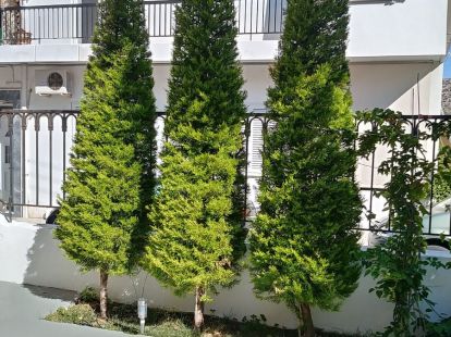 House, Greece, Attica, 600 000 € photo 9