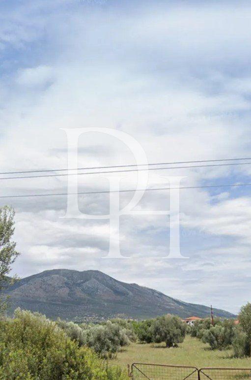 Участок , Греция, 75 000м2 - стоимость 5&nbsp;000&nbsp;000€ - Ref: 71601 фото 7