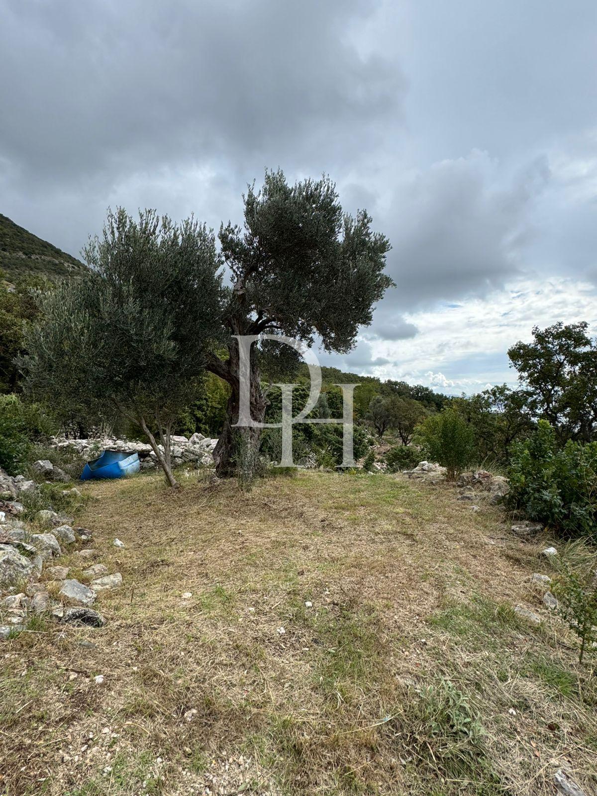 Parcel, Montenegro, С. Bar, Sutomore, 43 000 € photo 4