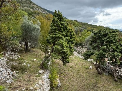 Parcel, Montenegro, С. Bar, Sutomore, 43 000 € photo 2