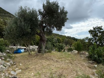 Parcel, Montenegro, С. Bar, Sutomore, 43 000 € photo 4