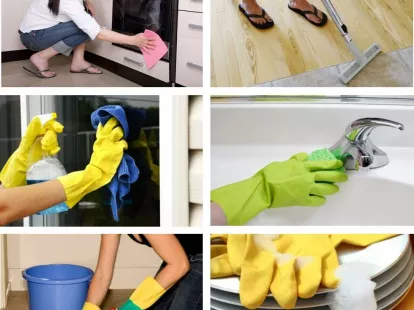 Regular maintenance cleaning (ID:11108)