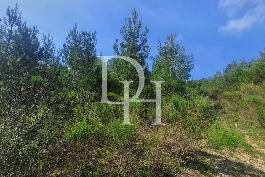 Parcel, Montenegro, С. Bar, Sutomore, 155 000 € photo 4