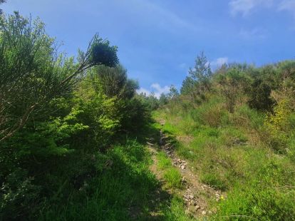 Land in Sutomore, Montenegro for 155 000€ (ID:71860)