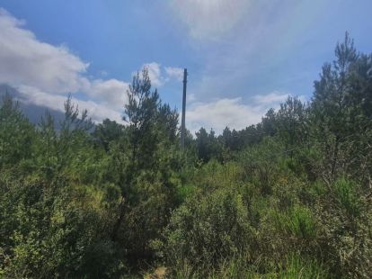 Parcel, Montenegro, С. Bar, Sutomore, 155 000 € photo 2