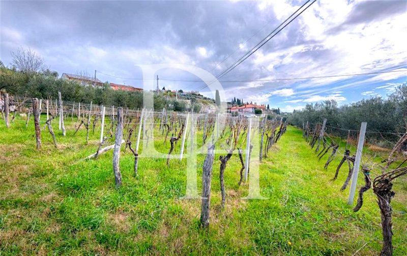 House, Slovenia, Primorska, Piran, 3 000 000 € photo 7