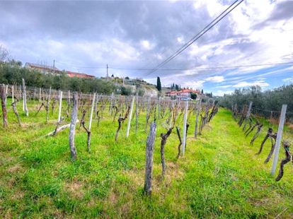 House, Slovenia, Primorska, Piran, 3 000 000 € photo 7