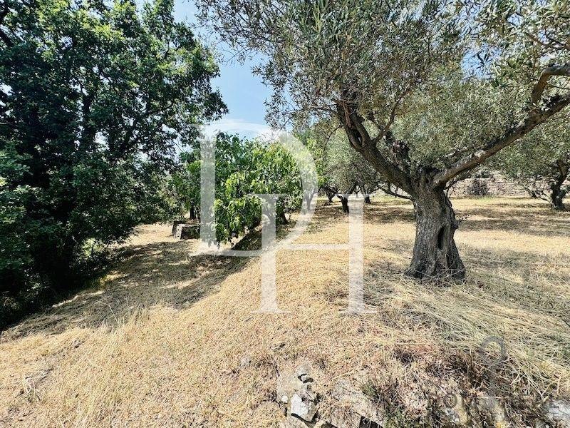 House, Slovenia, Primorska, Piran, 1 500 000 € photo 6