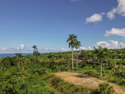 Land in Cabrera, Dominican Republic for 145 000$ (ID:72912)