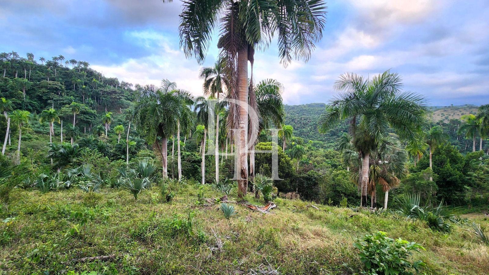 Parcel, Dominican Republic, Puerto Plata region, Sosua, 636 000 $ photo 1