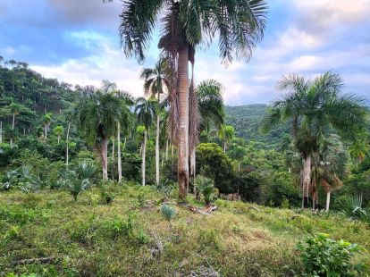 Land in Sosua, Dominican Republic for 636 000$ (ID:73033)