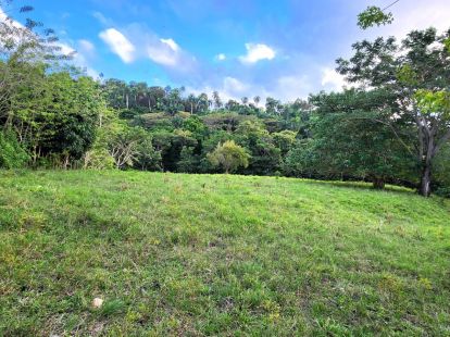 Parcel, Dominican Republic, Puerto Plata region, Sosua, 636 000 $ photo 4
