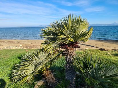 House / Cottage, Greece, Halkidiki, Kassandra, 460 000 € photo 11