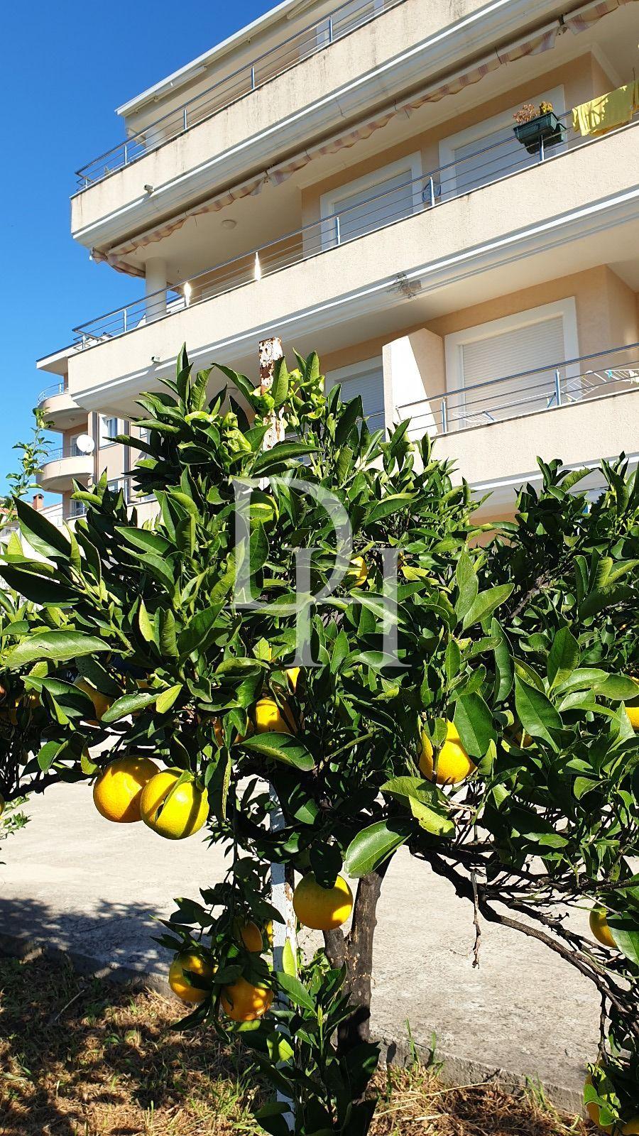 Апартаменты, Черногория, О. Херцег-Нови, Герцег-Нови, 300 000 € фото 4