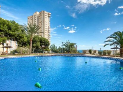 Apartments, Spain, Valencia region, Benidorm, 230 000 € photo 4