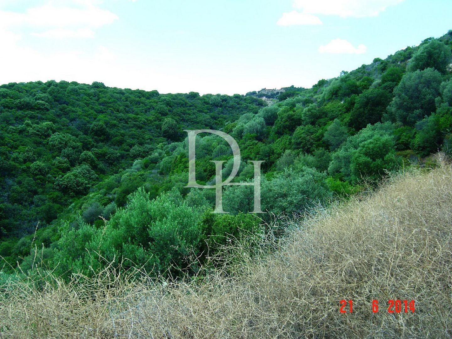 Земля, Греция, Халкидики, Ситония, 450 000 € фото 2