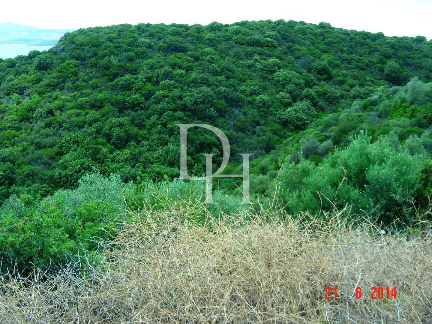 Земля, Греция, Халкидики, Ситония, 450 000 € фото 3