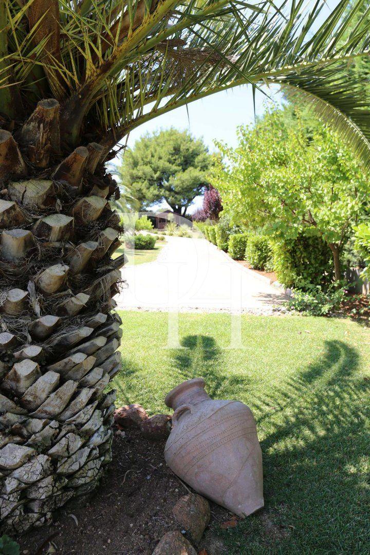 House / Villa, Greece, Halkidiki, Kassandra, 1 650 000 € photo 8