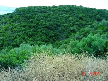 Земля, Греция, Халкидики, Ситония, 450 000 € фото 3