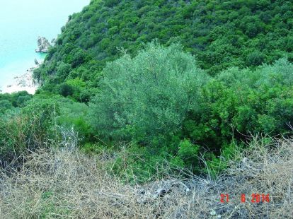 Земля, Греция, Халкидики, Ситония, 450 000 € фото 4