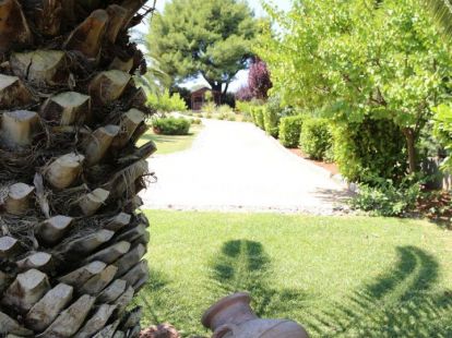 House / Villa, Greece, Halkidiki, Kassandra, 1 650 000 € photo 8