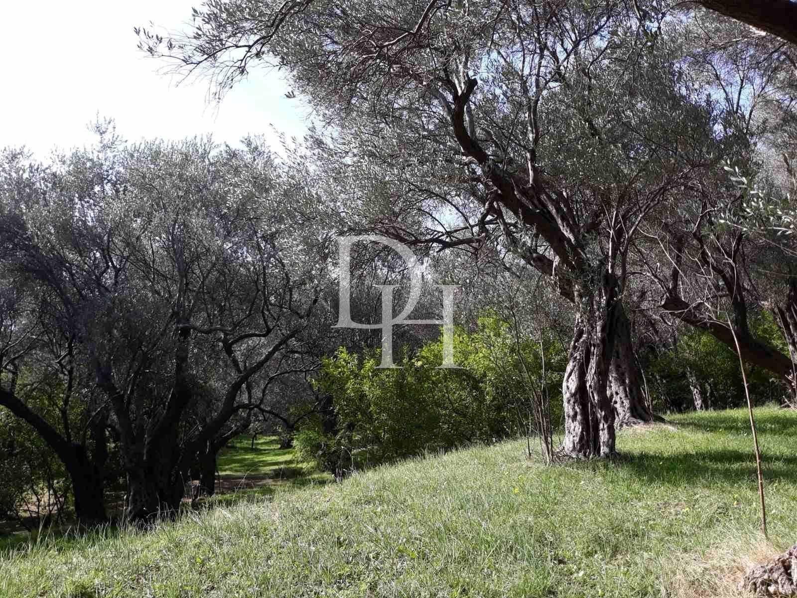 Дом / Вилла, Черногория, О. Бар, Бар, 400 000 € фото 3