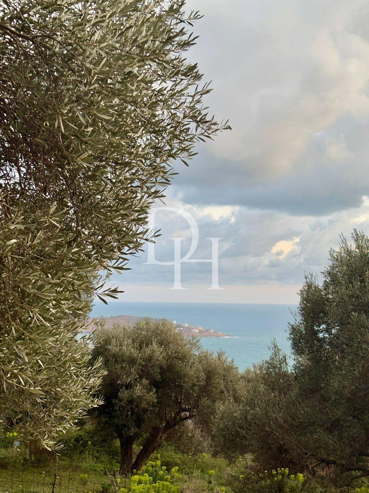 Дом / Вилла, Черногория, О. Бар, Бар, 400 000 € фото 5