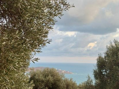 Дом / Вилла, Черногория, О. Бар, Бар, 400 000 € фото 5