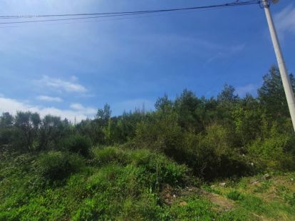 Земля, Черногория, О. Бар, Сутоморе, 154 000 € фото 3