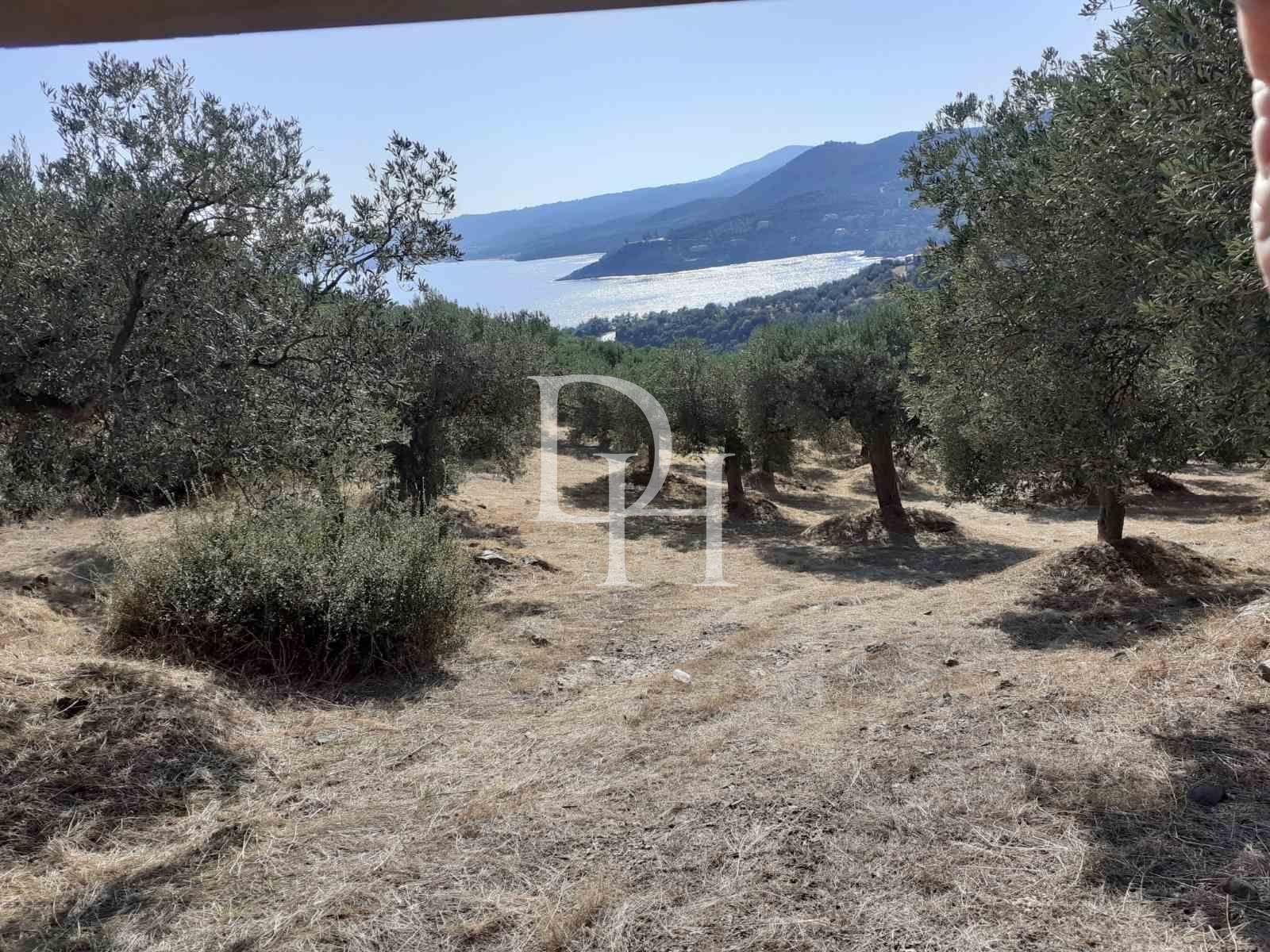 Земля, Греция, Халкидики, Ситония, 420 000 € фото 2