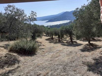 Земля, Греция, Халкидики, Ситония, 420 000 € фото 2