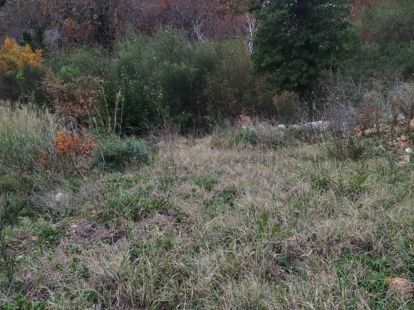 Parcel, Montenegro, С. Bar, Sutomore, 38 000 € photo 3