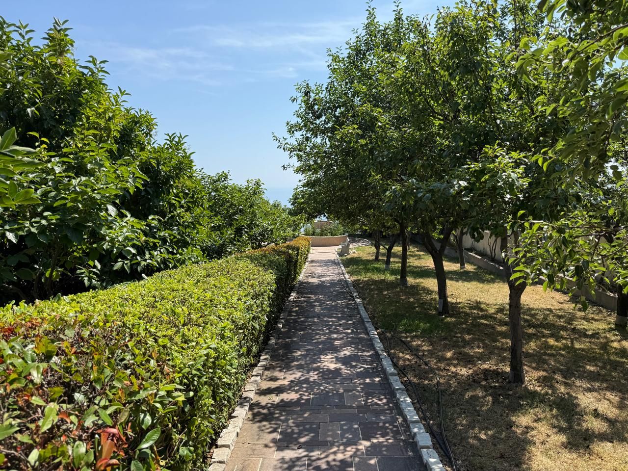 Дом / Вилла, Черногория, О. Бар, Добра вода, 3 580 000 € фото 5