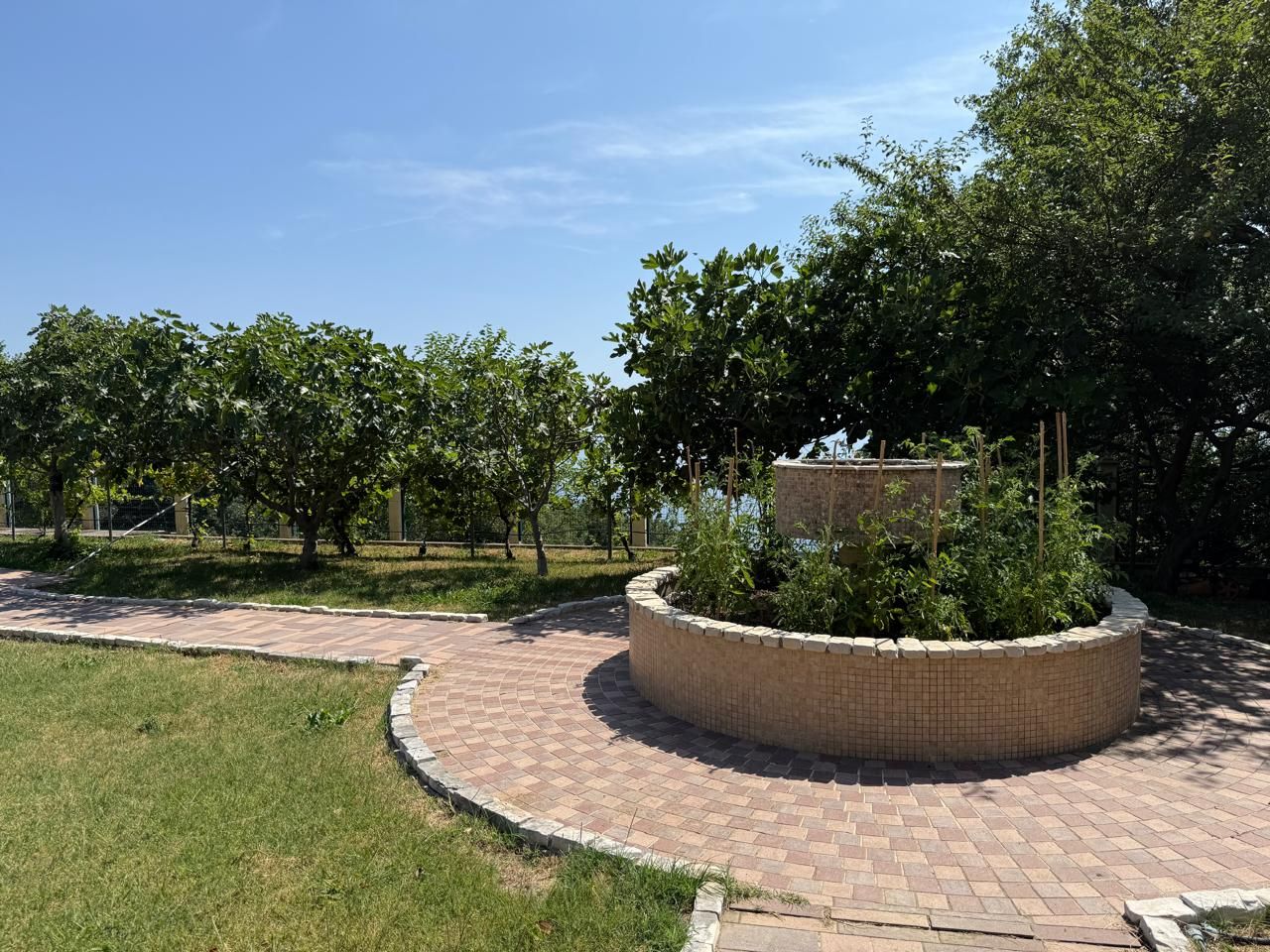 Дом / Вилла, Черногория, О. Бар, Добра вода, 3 580 000 € фото 7