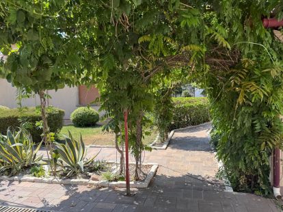 Дом / Вилла, Черногория, О. Бар, Добра вода, 3 580 000 € фото 4