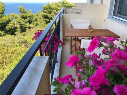 Коммерческая / Отель, Греция, Халкидики, Кассандра, 535 000 € фото 9
