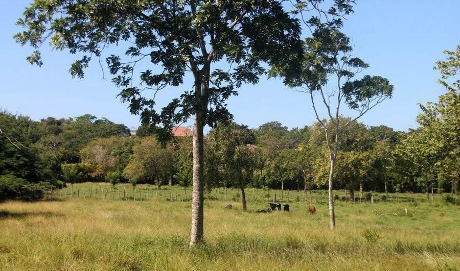 Parcel, Dominican Republic, Puerto Plata region, Sosua, 169 000 $ photo 2