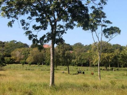 Parcel, Dominican Republic, Puerto Plata region, Sosua, 169 000 $ photo 2