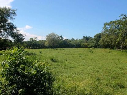 Parcel, Dominican Republic, Puerto Plata region, Sosua, 169 000 $ photo 3