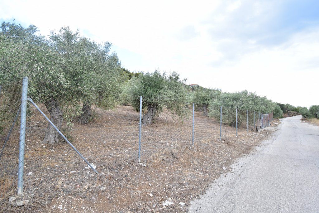 Земля, Греция, Пелопоннес, Лутраки, 16 000 € фото 1