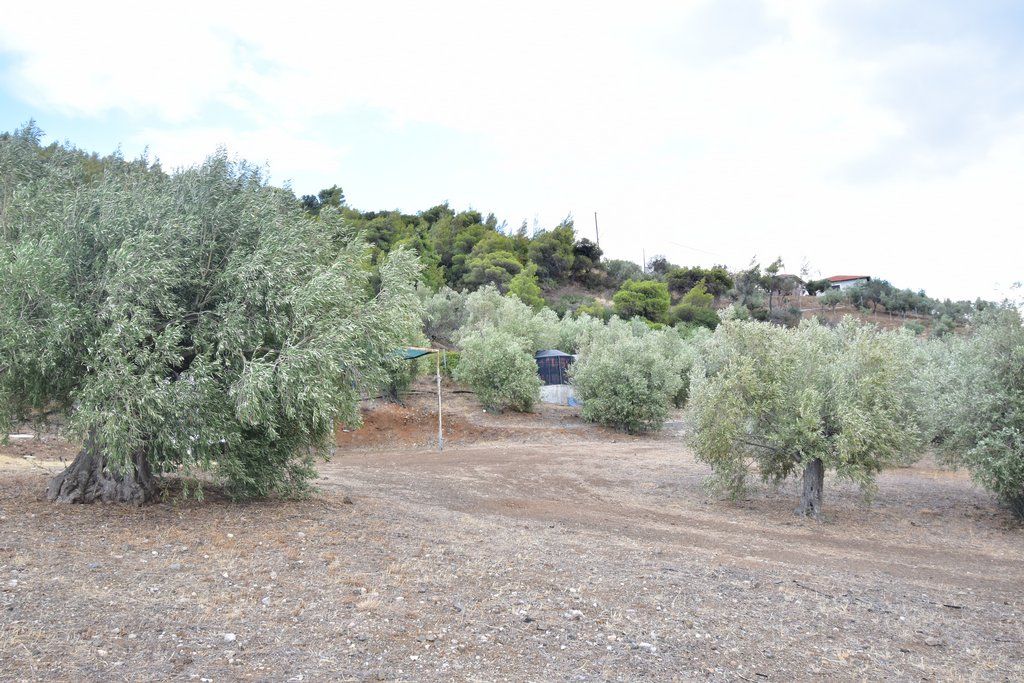 Земля, Греция, Пелопоннес, Лутраки, 16 000 € фото 4