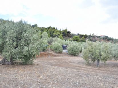 Земля, Греция, Пелопоннес, Лутраки, 16 000 € фото 4